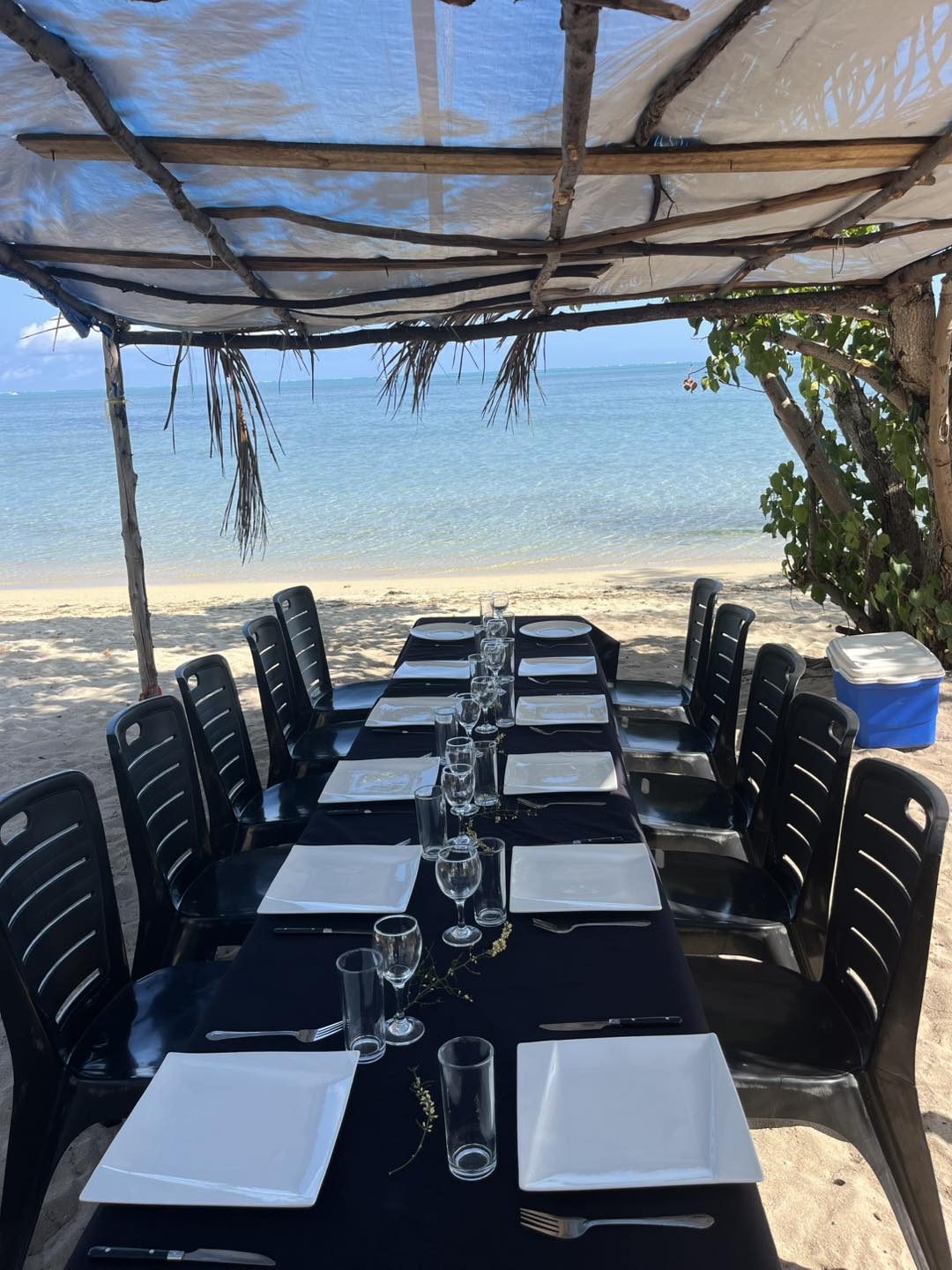 À la rencontre des dauphins, avec séance de snorkeling et déjeuner inclus