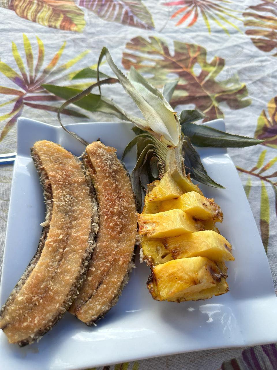 À la rencontre des dauphins, avec séance de snorkeling et déjeuner inclus