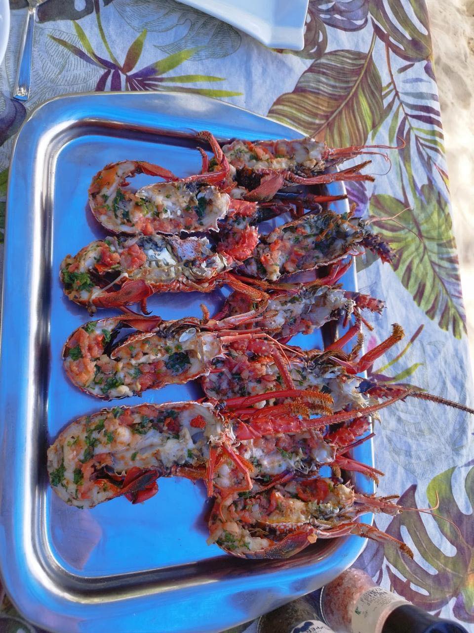 À la rencontre des dauphins, avec séance de snorkeling et déjeuner inclus