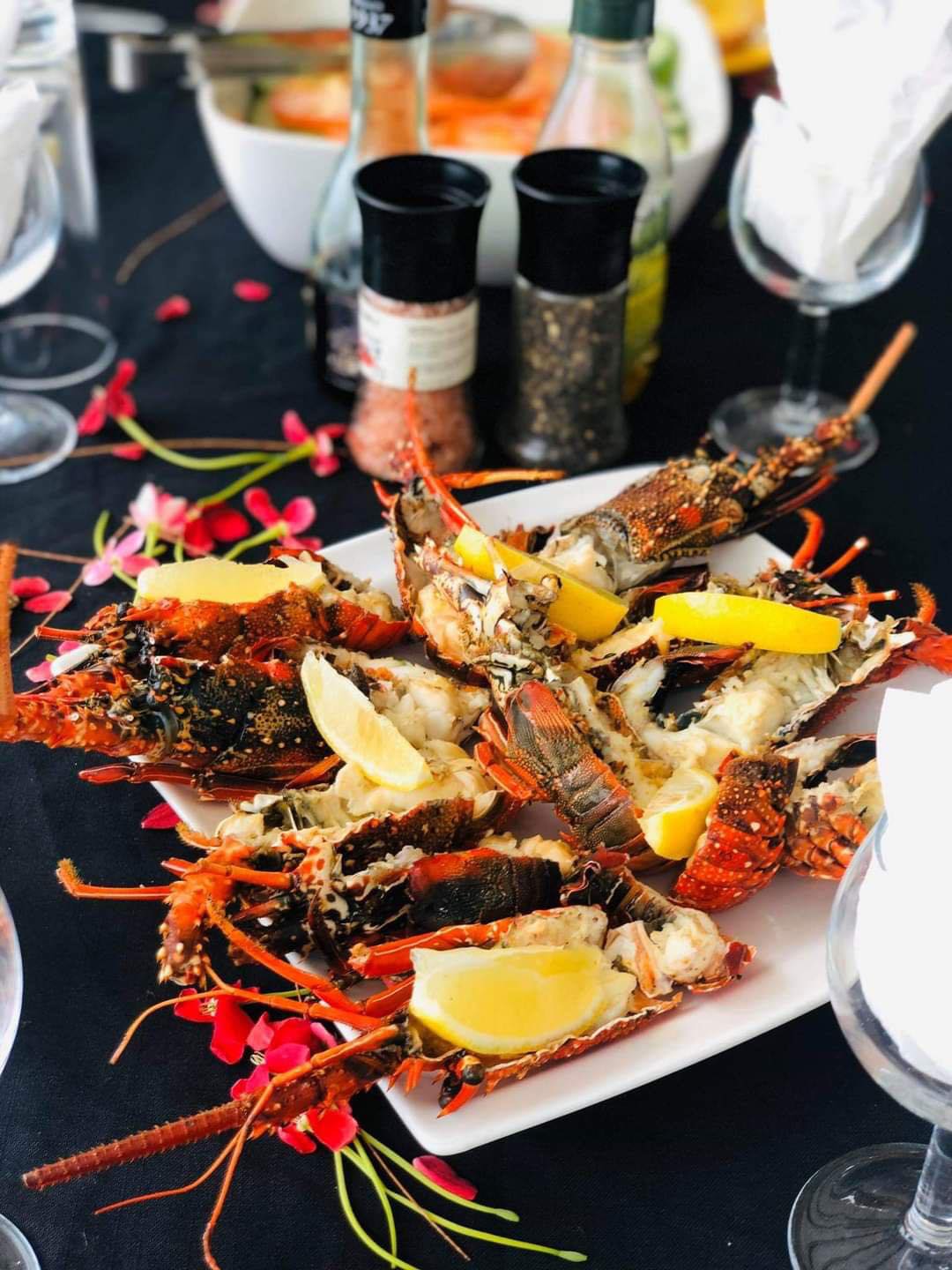 À la rencontre des dauphins, avec séance de snorkeling et déjeuner inclus