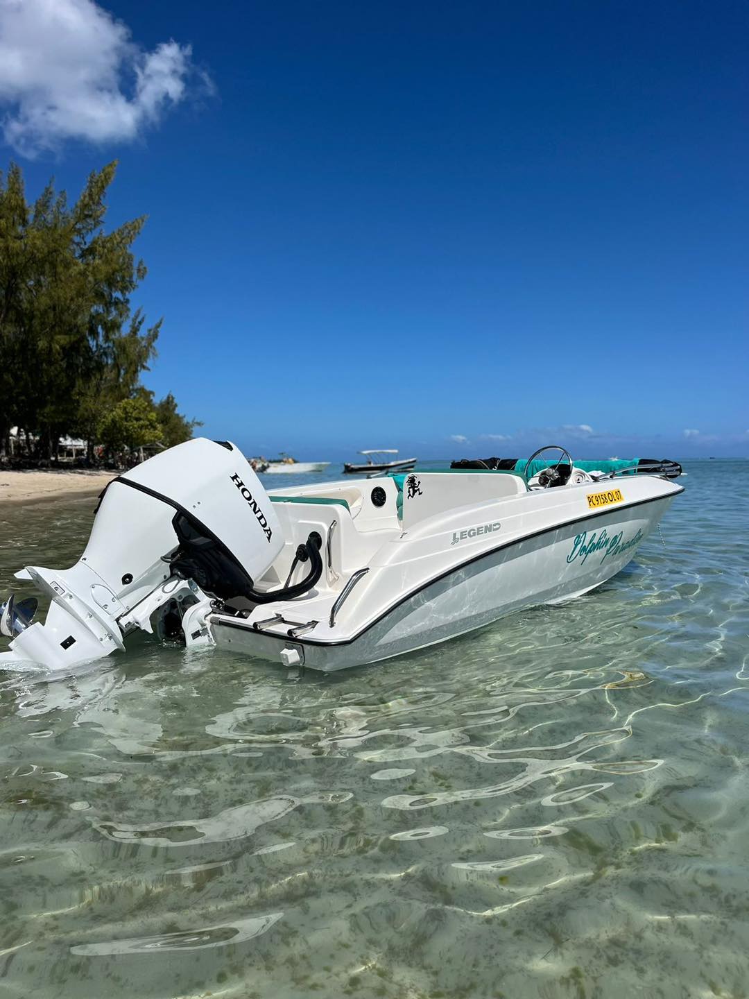 À la rencontre des dauphins, avec séance de snorkeling et déjeuner inclus