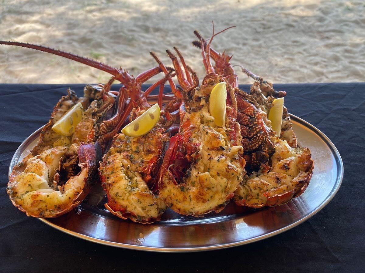 À la rencontre des dauphins, avec séance de snorkeling et déjeuner inclus