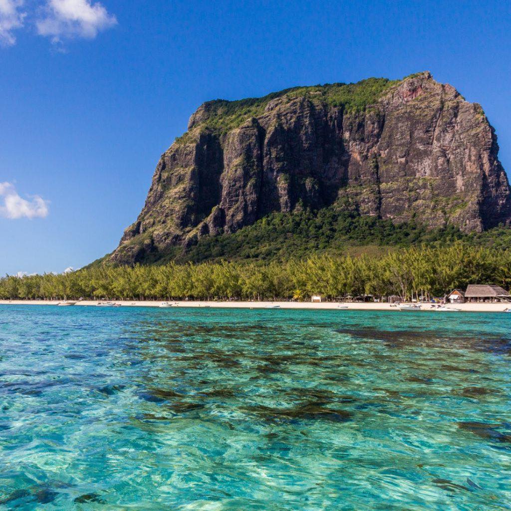 À la rencontre des dauphins, avec séance de snorkeling et déjeuner inclus