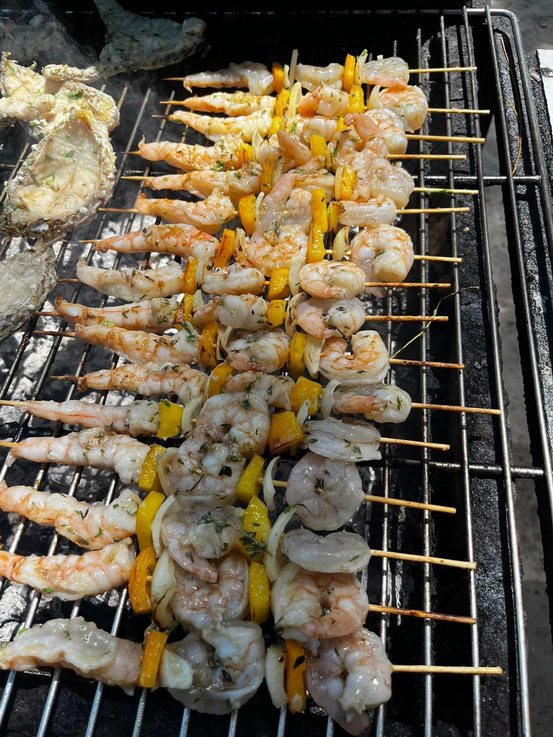 À la rencontre des dauphins, avec séance de snorkeling et déjeuner inclus