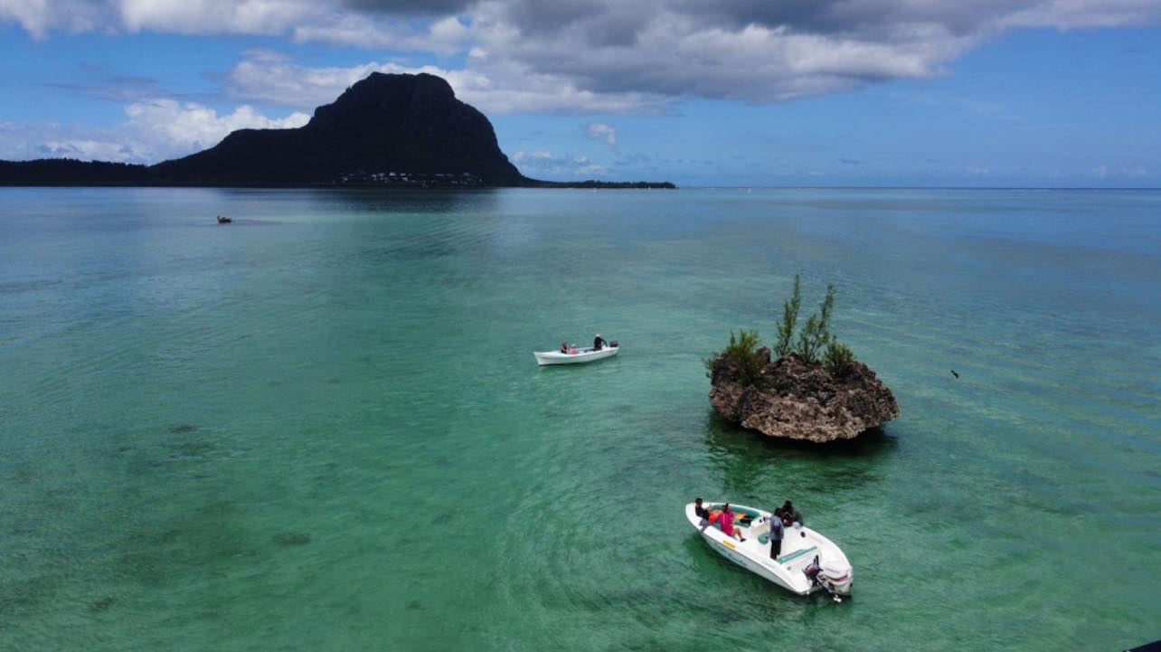 À la rencontre des dauphins, avec séance de snorkeling et déjeuner inclus