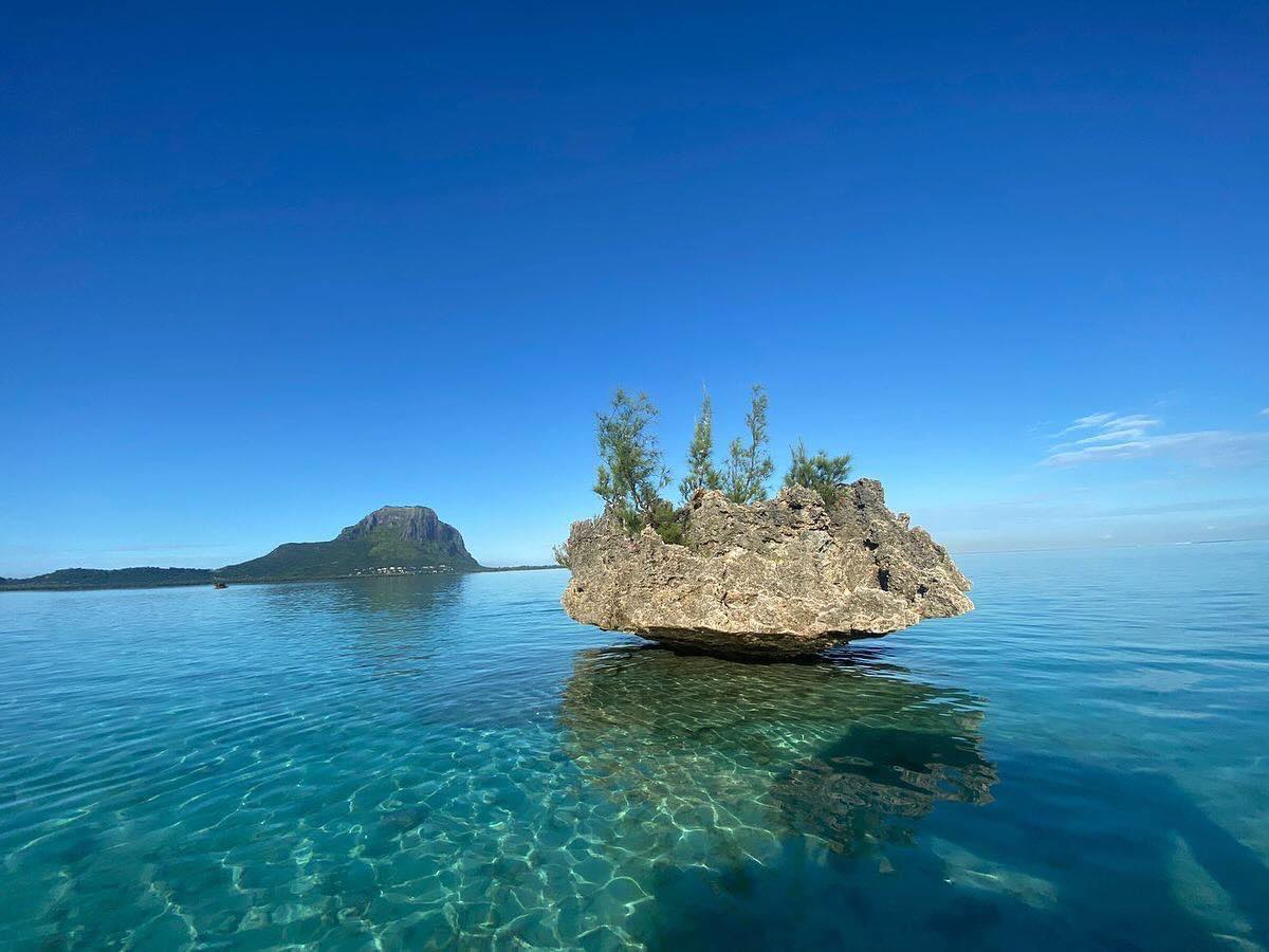 À la rencontre des dauphins, avec séance de snorkeling et déjeuner inclus