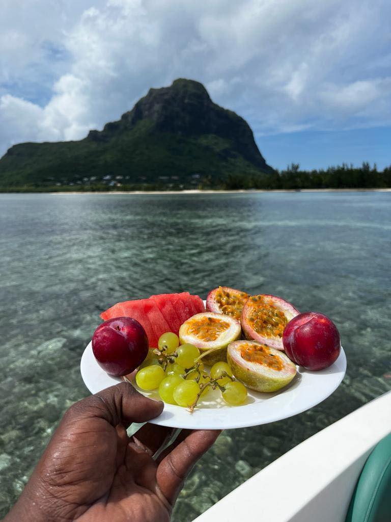 À la rencontre des dauphins, avec séance de snorkeling et déjeuner inclus